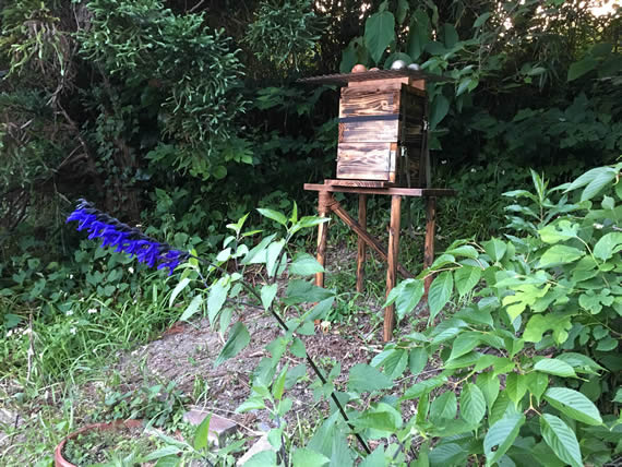 ミツバチの箱｜こぐれひでこ　くらしのたね