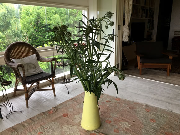 アーティーチョーク｜こぐれひでこ