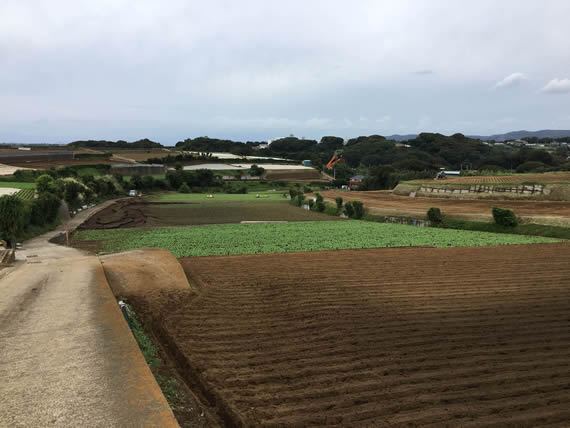 端境期の畑｜こぐれひでこ