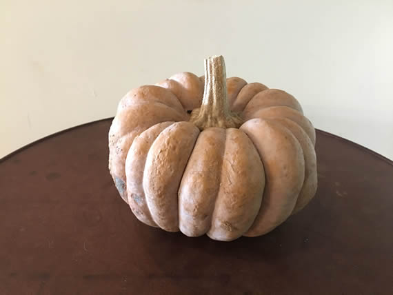 本カボチャ｜こぐれひでこ