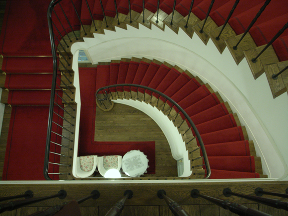 稚鮎の甘露煮と葉っぱのお皿