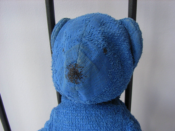 アップの青熊君