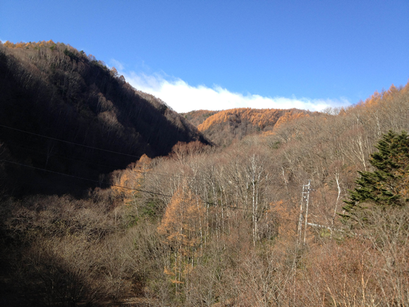 標高2000mの木々たちは冬の準備を進めていた。これまた美しい！