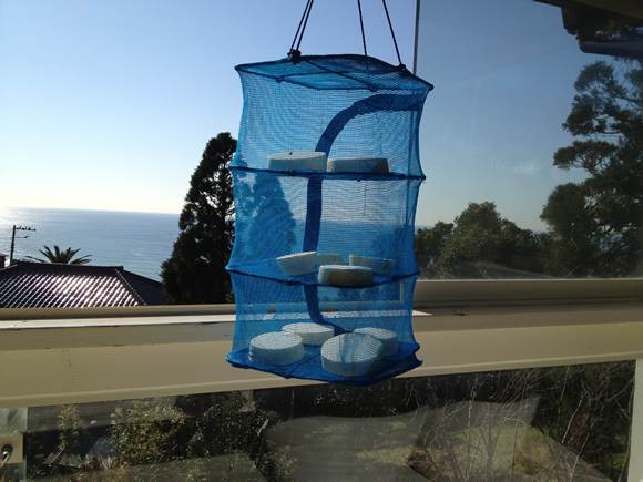 輪切りにして干した三浦大根