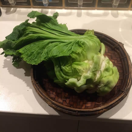 こぐれひでこ｜つぼみ菜