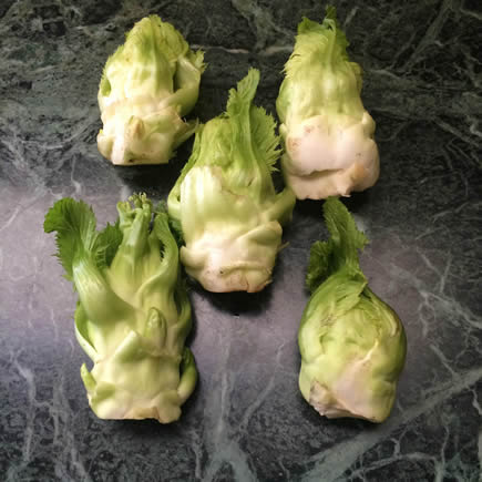 こぐれひでこ｜つぼみ菜の漬物