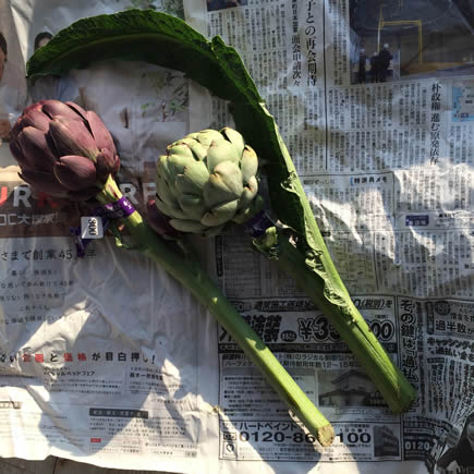 こぐれひでこ｜アーティーチョーク