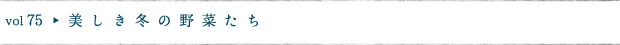 美しき冬の野菜たち