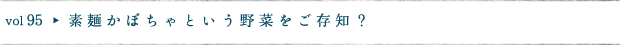 素麺かぼちゃという野菜をご存知？